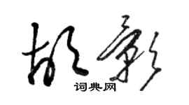 駱恆光胡影草書個性簽名怎么寫