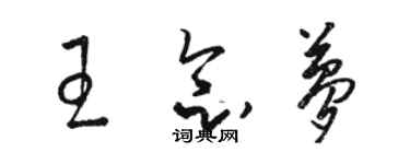 駱恆光王念夢草書個性簽名怎么寫