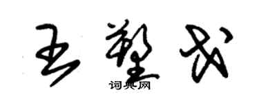 朱錫榮王塑戈草書個性簽名怎么寫