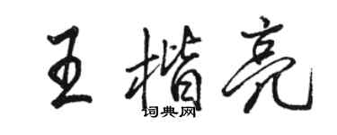 駱恆光王楷亮行書個性簽名怎么寫