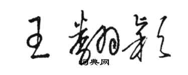 駱恆光王翻穎草書個性簽名怎么寫