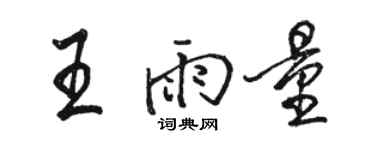 駱恆光王雨量行書個性簽名怎么寫