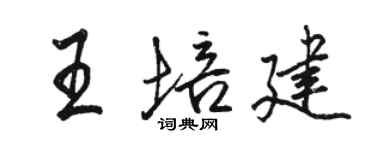 駱恆光王培建行書個性簽名怎么寫