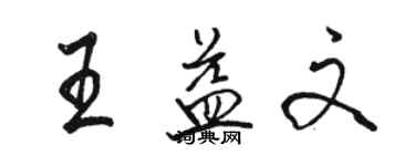 駱恆光王益文行書個性簽名怎么寫