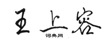 駱恆光王上容行書個性簽名怎么寫