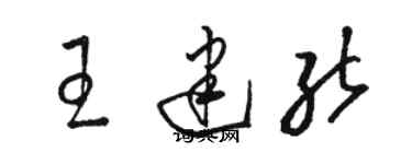 駱恆光王建能草書個性簽名怎么寫