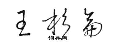 駱恆光王杉侖草書個性簽名怎么寫