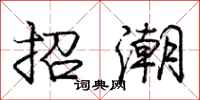 龐中華招潮行書怎么寫