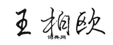 駱恆光王柏歐行書個性簽名怎么寫