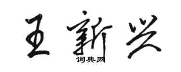 駱恆光王新興行書個性簽名怎么寫