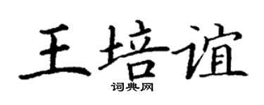 丁謙王培誼楷書個性簽名怎么寫