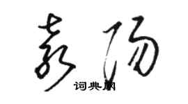 駱恆光袁陽草書個性簽名怎么寫