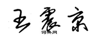 朱錫榮王震京草書個性簽名怎么寫