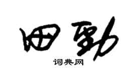 朱錫榮田勁草書個性簽名怎么寫