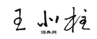 駱恆光王北柱草書個性簽名怎么寫