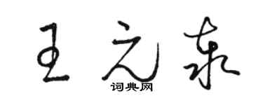 駱恆光王元泰草書個性簽名怎么寫