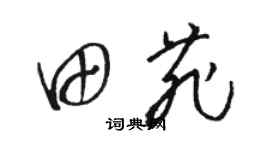 駱恆光田菲草書個性簽名怎么寫