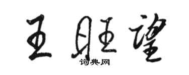 駱恆光王旺望行書個性簽名怎么寫