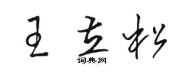 駱恆光王立松草書個性簽名怎么寫