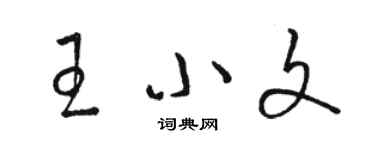 駱恆光王小文草書個性簽名怎么寫