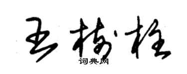 朱錫榮王樹柱草書個性簽名怎么寫