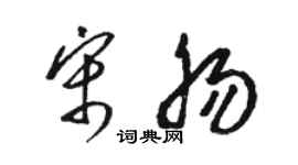 駱恆光宋腸草書個性簽名怎么寫