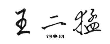 駱恆光王二猛行書個性簽名怎么寫