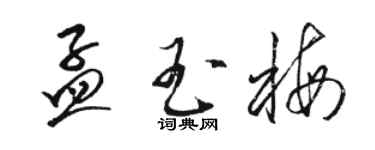 駱恆光孟玉梅草書個性簽名怎么寫