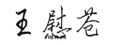 駱恆光王慰蒼行書個性簽名怎么寫