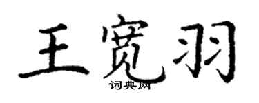 丁謙王寬羽楷書個性簽名怎么寫