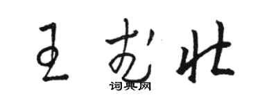 駱恆光王武壯草書個性簽名怎么寫