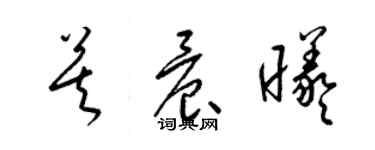 梁錦英莫晨曦草書個性簽名怎么寫