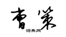 朱錫榮曹策草書個性簽名怎么寫