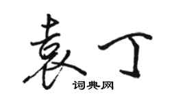 駱恆光袁丁行書個性簽名怎么寫