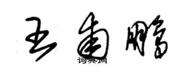 朱錫榮王甫鵬草書個性簽名怎么寫