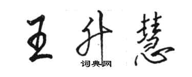 駱恆光王升慧行書個性簽名怎么寫