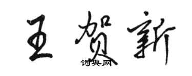 駱恆光王賀新行書個性簽名怎么寫