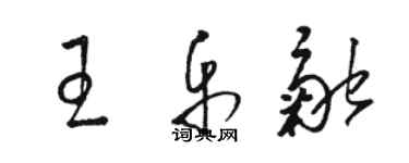 駱恆光王樂融草書個性簽名怎么寫