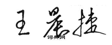 駱恆光王晨捷草書個性簽名怎么寫