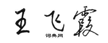 駱恆光王飛霞行書個性簽名怎么寫