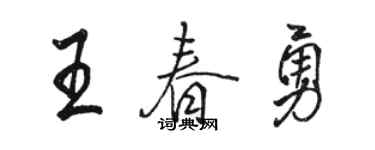 駱恆光王春勇行書個性簽名怎么寫