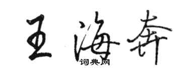 駱恆光王海奔行書個性簽名怎么寫