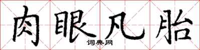 丁謙肉眼凡胎楷書怎么寫