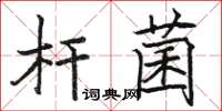 駱恆光桿菌楷書怎么寫