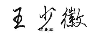 駱恆光王少徽行書個性簽名怎么寫