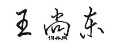 駱恆光王尚東行書個性簽名怎么寫