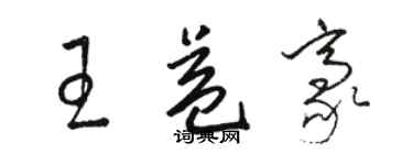 駱恆光王益豪草書個性簽名怎么寫