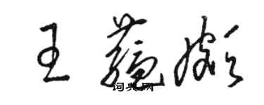 駱恆光王蘊頗草書個性簽名怎么寫