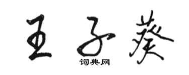 駱恆光王子葵行書個性簽名怎么寫