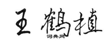 駱恆光王鶴植行書個性簽名怎么寫